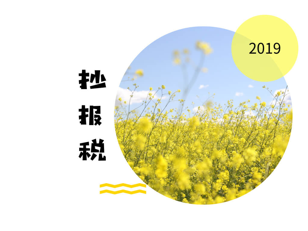 2019年底前取消抄报税