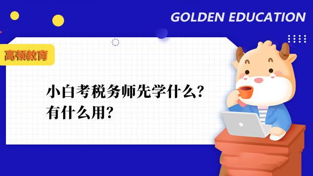 小白考税务师先学什么？有什么用？