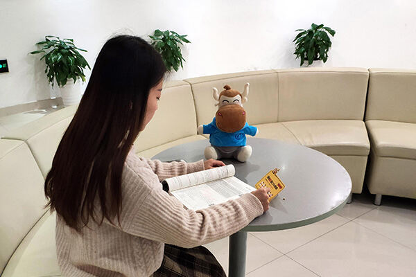 税务师准考证什么时间打印