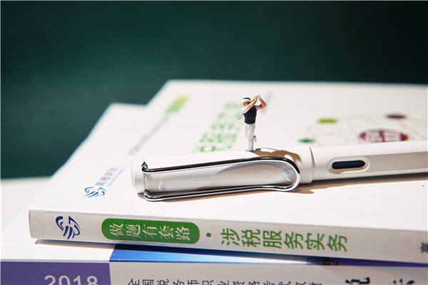 第一次参加税务师考试，考试科目应该怎么组合？